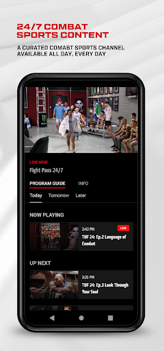 UFC screenshot 2