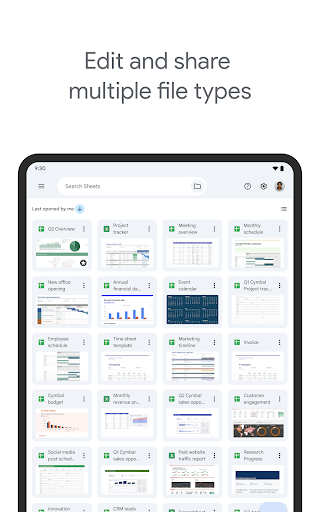 Google Sheets screenshot 5