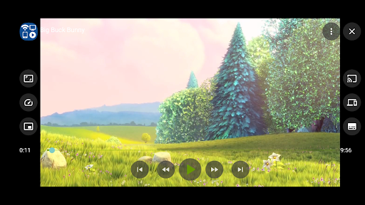 Cast to TV+ Chromecast Roku TV screenshot 6