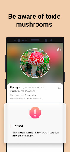 Picture Mushroom - Mushroom ID screenshot 1
