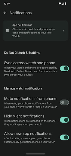 Google Pixel Watch screenshot 6