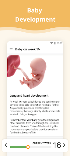 Pregnancy App screenshot 6