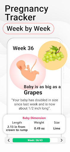 Pregnancy Calculator: Due Date screenshot 1