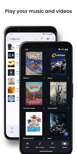 BubbleUPnP UPnP/DLNA License screenshot 3