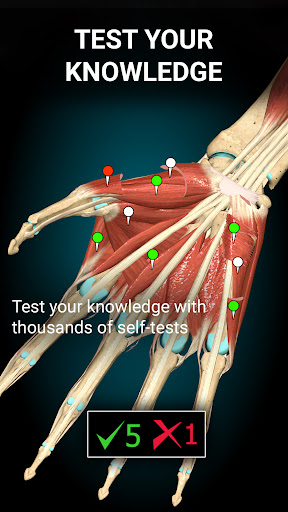Anatomy Learning By Dr. Blanco screenshot 7