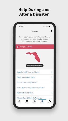 FEMA screenshot 6