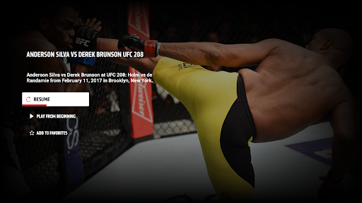 UFC screenshot 20