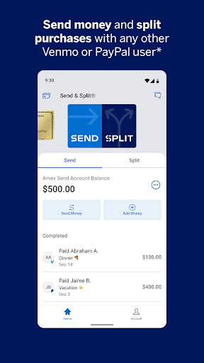 Amex screenshot 2