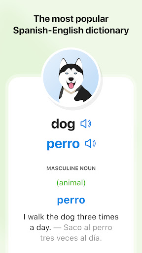 SpanishDictionary.com Learning screenshot 17