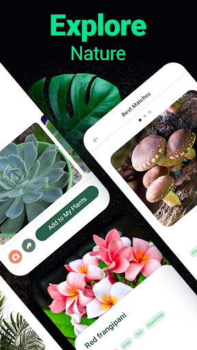 Plantum - Plant Identifier screenshot 8