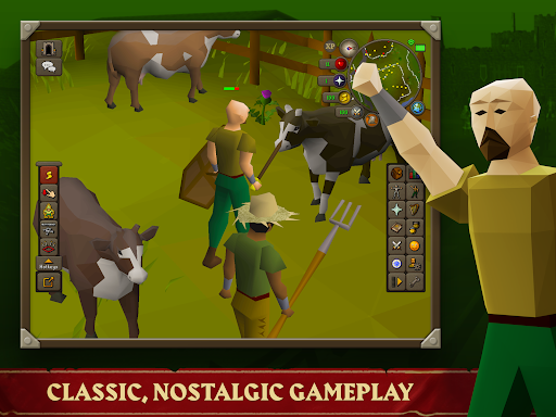 Old School RuneScape screenshot 3