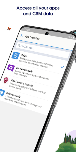 Salesforce screenshot 1