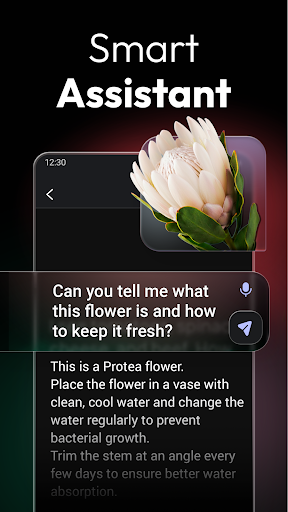 ChatOn - AI Chat Bot Assistant screenshot 5