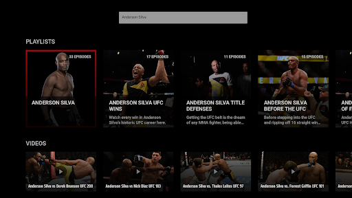 UFC screenshot 16