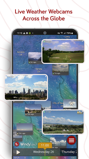 Windy.com - Weather Forecast screenshot 11