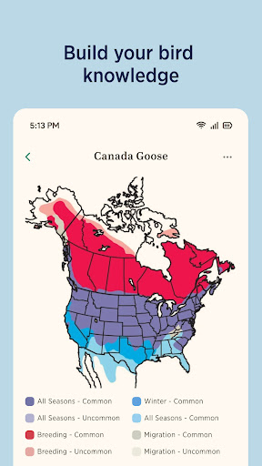 Audubon Bird Guide screenshot 3