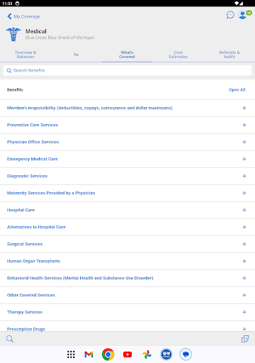 BCBSM screenshot 7