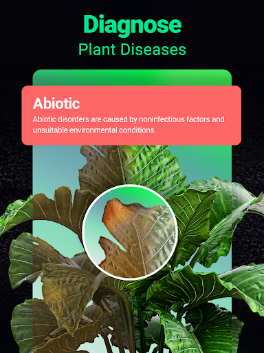 Plantum - Plant Identifier screenshot 27
