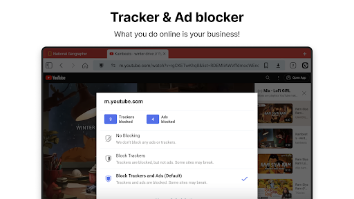 Vivaldi Browser - Fast & Safe screenshot 14