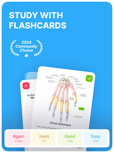 Noji – Flashcards study app screenshot 15