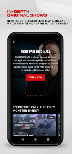 UFC screenshot 11