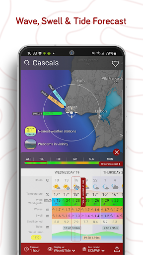 Windy.com - Weather Forecast screenshot 17