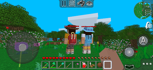 MultiCraft — Build and Mine! screenshot 13
