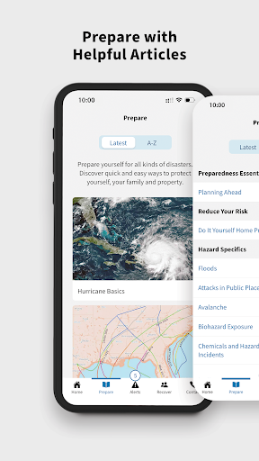 FEMA screenshot 7