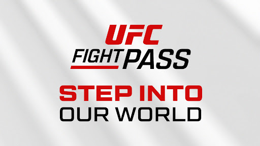 UFC screenshot 18