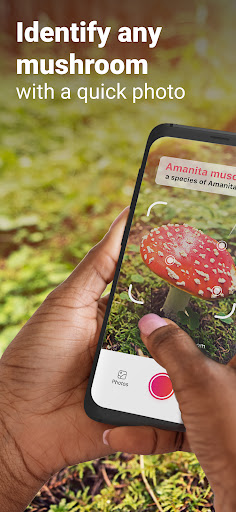 Picture Mushroom - Mushroom ID screenshot 10