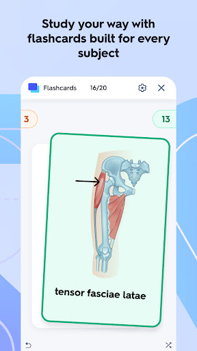 Quizlet: More than Flashcards screenshot 4