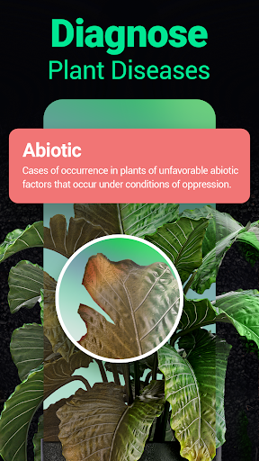 Plantum - Plant Identifier screenshot 20