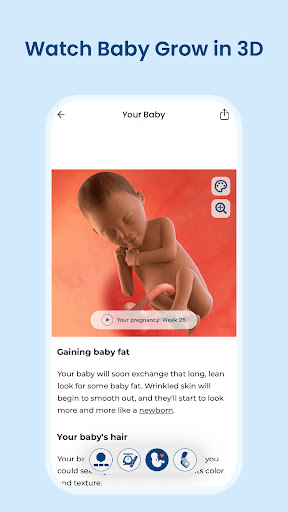 Pregnancy App & Baby Tracker screenshot 3