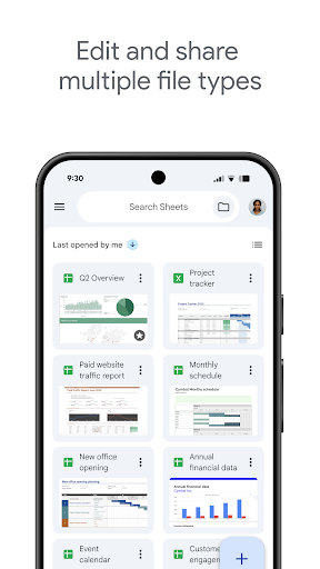 Google Sheets screenshot 1