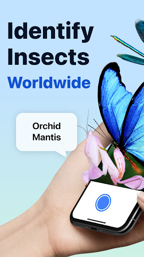 Picture Insect: Bug Identifier screenshot 4