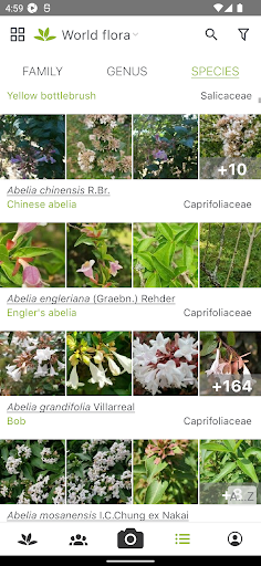 PlantNet Plant Identification screenshot 5