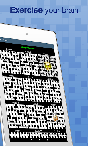 Crossword screenshot 14