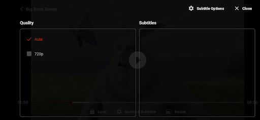 ZoZo Player - URL Video Player screenshot 1