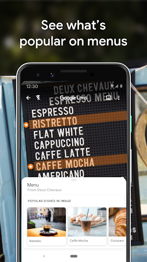 Google Lens screenshot 6