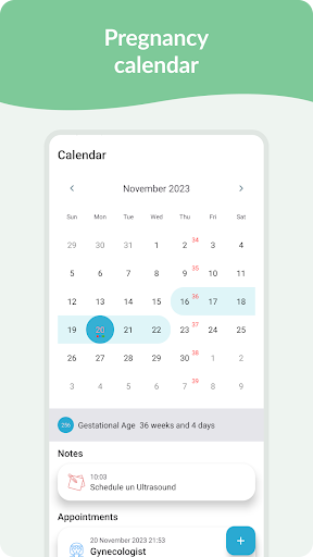 Pregnancy Tracker & Day by Day screenshot 7