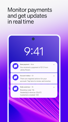 Stripe Dashboard screenshot 6