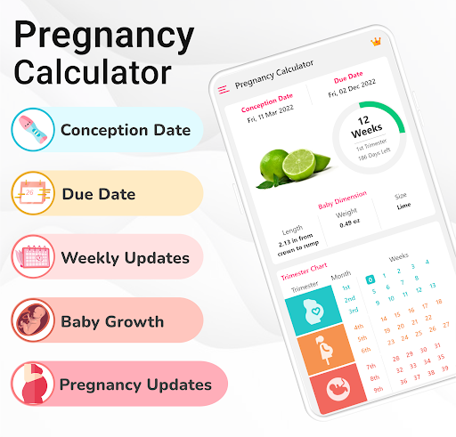Pregnancy Calculator: Due Date screenshot 3