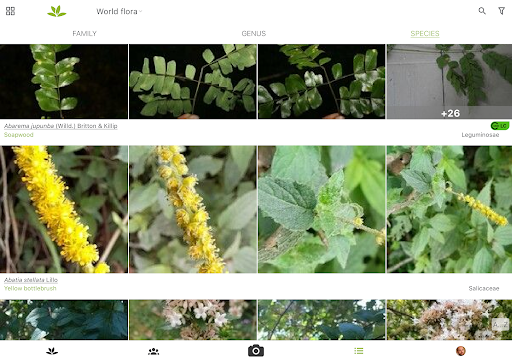 PlantNet Plant Identification screenshot 12