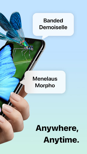 Picture Insect: Bug Identifier screenshot 6