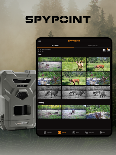 SPYPOINT screenshot 2