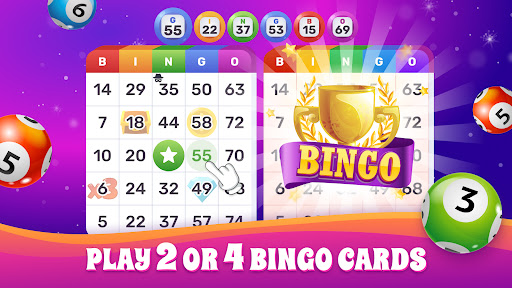 Bingo Lotto: Win Lucky Number screenshot 14